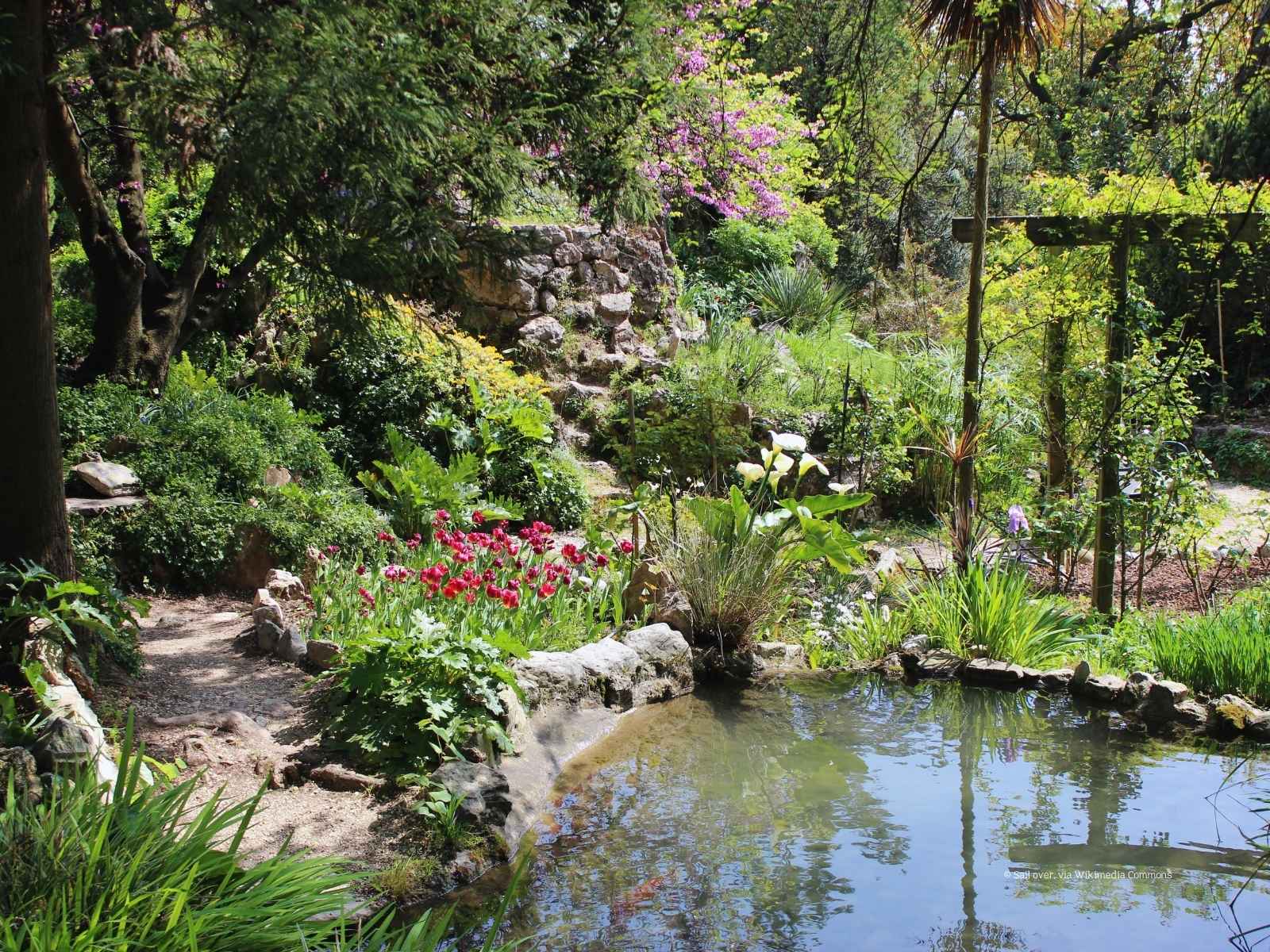 Un viaggio tra oltre 3.000 specie vegetali e installazioni artistiche, dove natura e creatività dialogano in armonia.